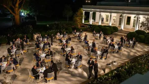 rose garden